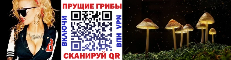 Галлюциногенные грибы Magic Shrooms  Купить где  Каменск-Уральский 